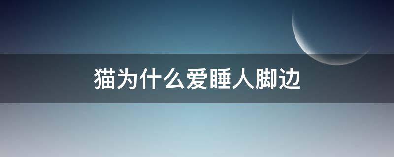 猫为什么爱睡人脚边 猫为什么喜欢在人脚边