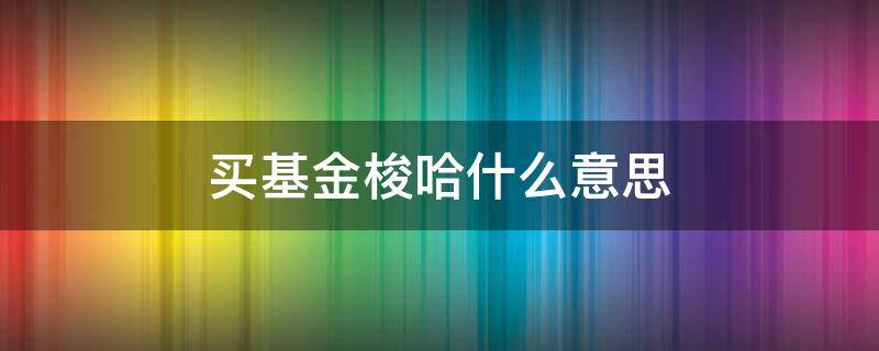 买基金梭哈什么意思 股票基金梭哈啥意思