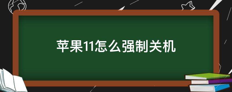 苹果11怎么强制关机（iphone11怎么强制关机）