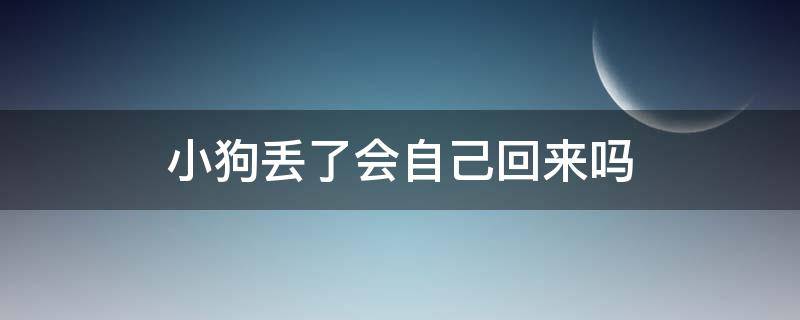 小狗丢了会自己回来吗 狗狗丢了会自己回来吗