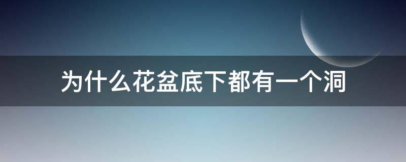 为什么花盆底下都有一个洞 为什么花盆底下都有一个洞作文100字