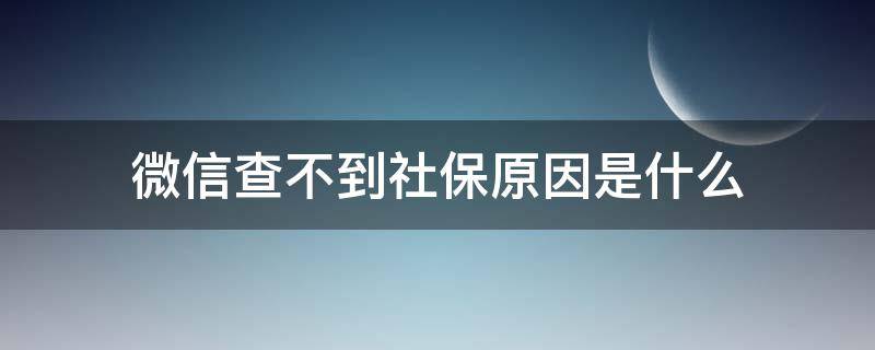 微信查不到社保原因是什么（在微信上查不到社保信息是为什么）