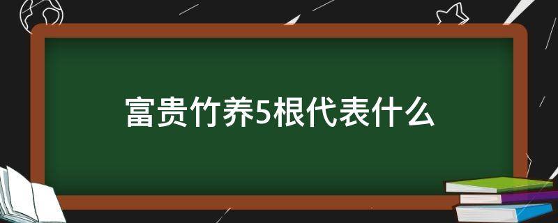 富贵竹养5根代表什么 富贵竹养5根是啥意思?