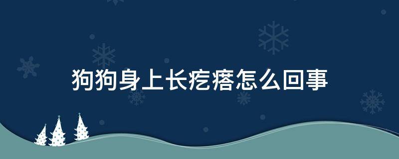 狗狗身上长疙瘩怎么回事 狗狗身上长了好多疙瘩怎么回事