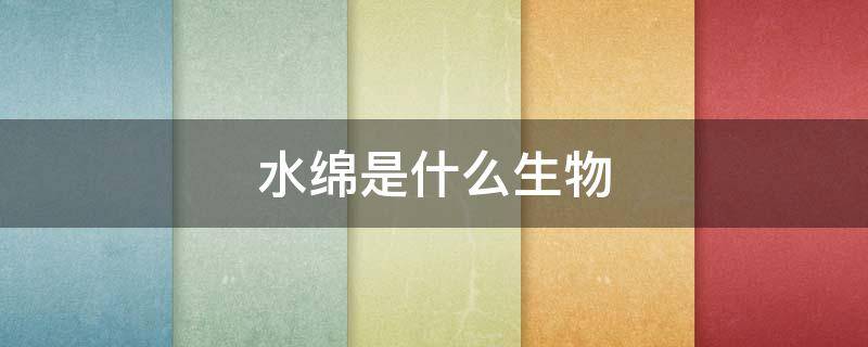 水绵是什么生物 水绵是什么生物?是原核还是真核生物