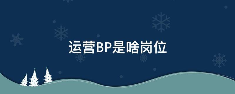 运营BP是啥岗位 营销BP是啥岗位