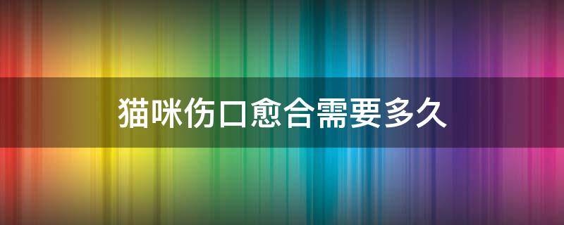 猫咪伤口愈合需要多久 猫咪伤口一般多久愈合