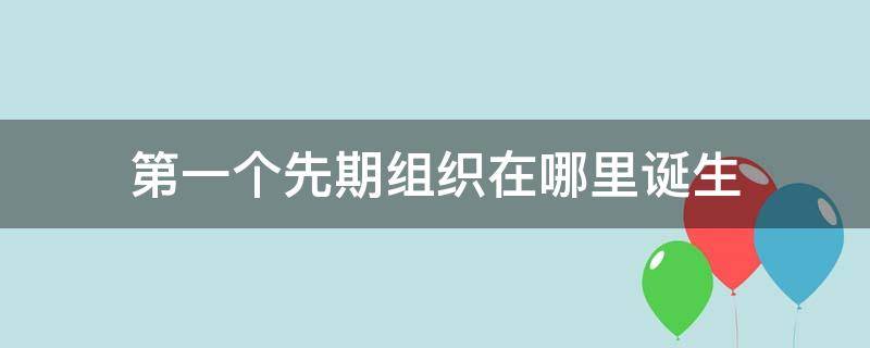 第一个先期组织在哪里诞生（第一个早期组织负责人是）