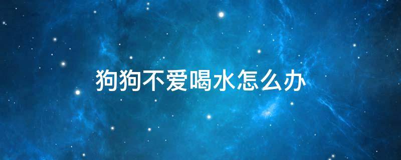 狗狗不爱喝水怎么办（狗狗为什么不喜欢喝水?狗狗不喝水怎么办?）