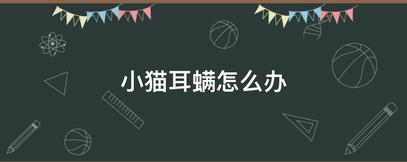 小猫耳螨怎么办（猫猫耳螨怎么办）