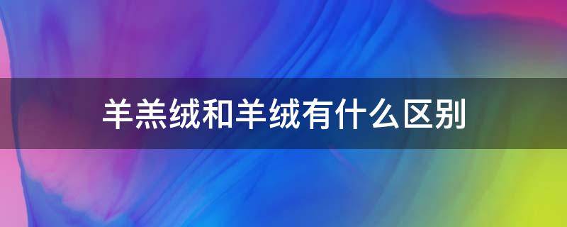 羊羔绒和羊绒有什么区别 羊羔绒和羊毛绒的区别