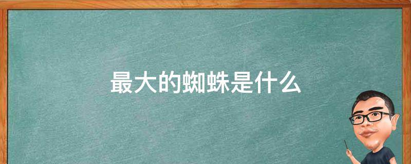 最大的蜘蛛是什么 最大的蜘蛛是什么蛛