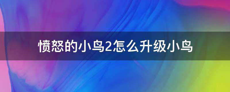 愤怒的小鸟2怎么升级小鸟 愤怒的小鸟2怎么升级小鸟力量