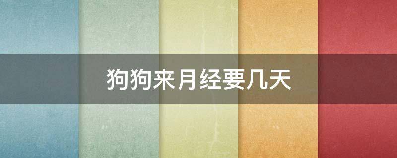 狗狗来月经要几天 狗狗来月经要几天才完