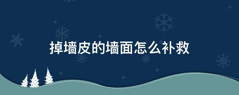 掉墙皮的墙面怎么补救（墙上掉墙皮怎么补）