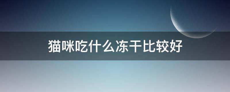 猫咪吃什么冻干比较好（猫咪可以吃什么冻干）