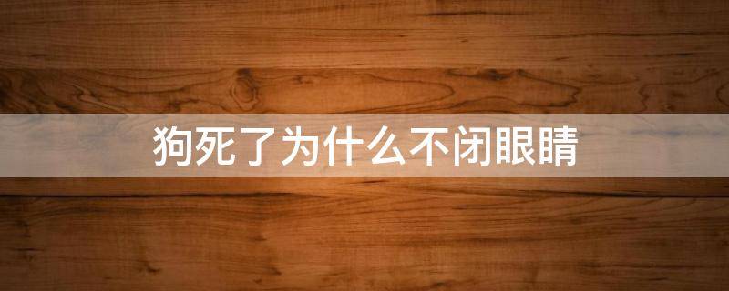 狗死了为什么不闭眼睛 狗狗死了为什么不闭眼睛