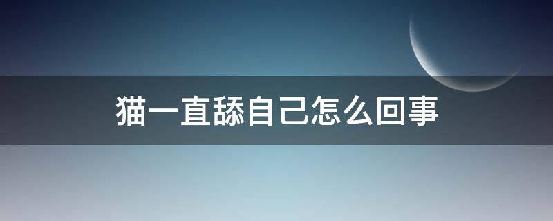 猫一直舔自己怎么回事（猫一直舔自己是怎么了）