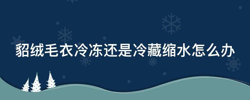 貂绒毛衣冷冻还是冷藏缩水怎么办（貂绒毛衣冰冻会毁掉）