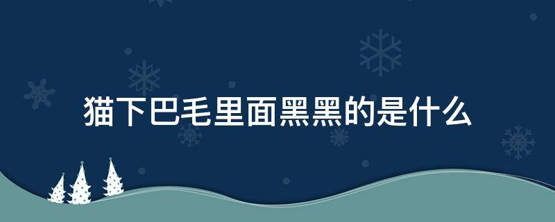 猫下巴毛里面黑黑的是什么（猫下巴毛上有黑色东西）