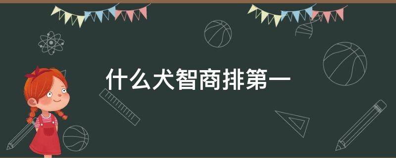 什么犬智商排第一（智商排名前十的犬有哪些）