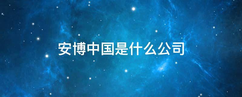 安博中国是什么公司 中国安博有限公司