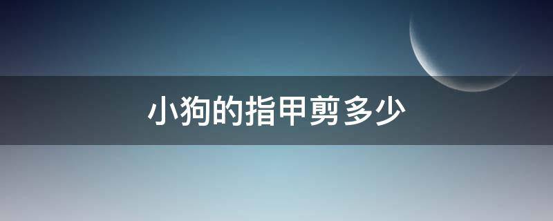 小狗的指甲剪多少（小狗的指甲应该剪多长）