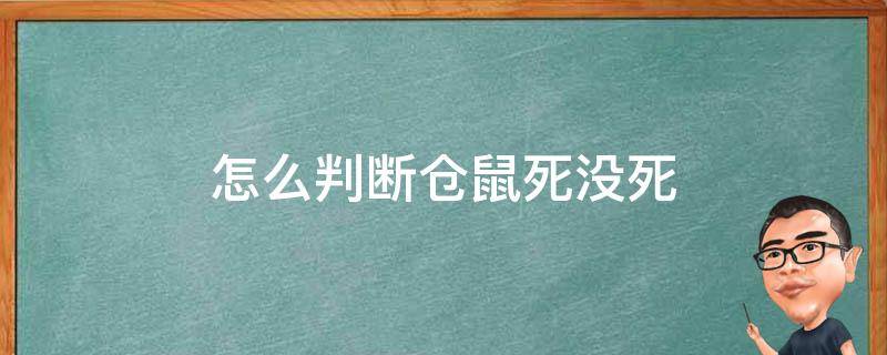 怎么判断仓鼠死没死（仓鼠已经硬了还有救吗）