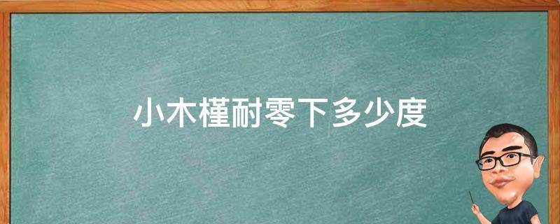 小木槿耐零下多少度 小木槿最低耐寒多少度