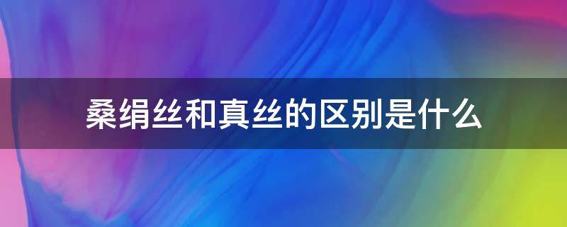 桑绢丝和真丝的区别是什么 桑绢丝是真丝吗