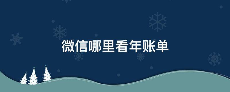 微信哪里看年账单 微信哪里看年账单?