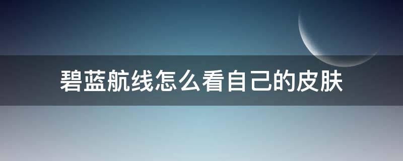 碧蓝航线怎么看自己的皮肤（碧蓝航线怎么看自己拥有的皮肤）