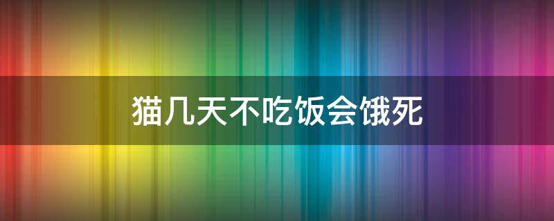 猫几天不吃饭会饿死 两个月猫几天不吃饭会饿死