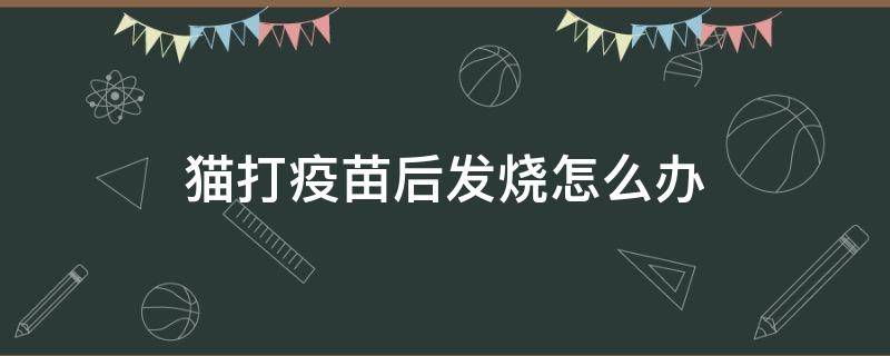 猫打疫苗后发烧怎么办 给猫打完疫苗猫发烧了怎么办