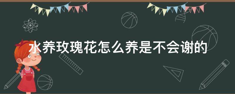 水养玫瑰花怎么养是不会谢的（水养玫瑰花怎么养才不会枯萎）