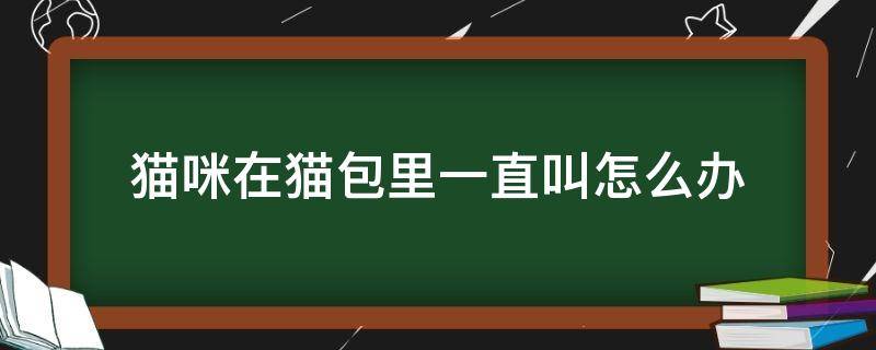 猫咪在猫包里一直叫怎么办 幼猫在猫包里一直叫