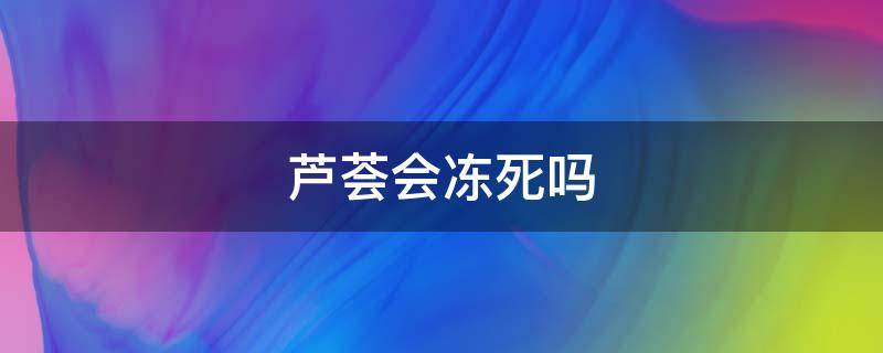 芦荟会冻死吗 芦荟会被冻死么冬天