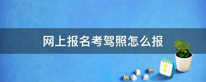 网上报名考驾照怎么报（网上报名考驾照怎么报app）