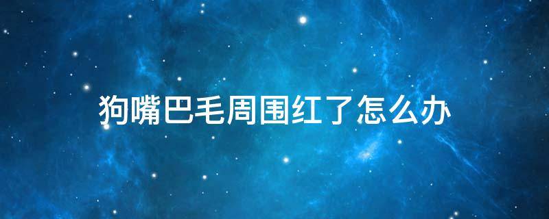 狗嘴巴毛周围红了怎么办 狗狗嘴巴毛周围红红的怎么回事