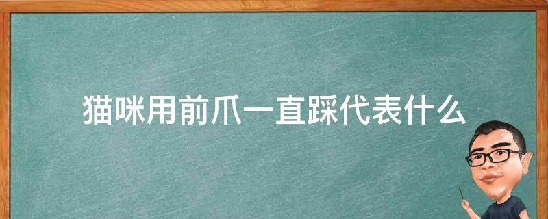 猫咪用前爪一直踩代表什么 猫咪前爪来回的踩是怎么回事