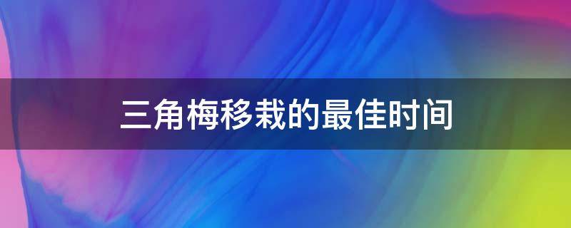 三角梅移栽的最佳时间 三角梅几月份移栽成活率高