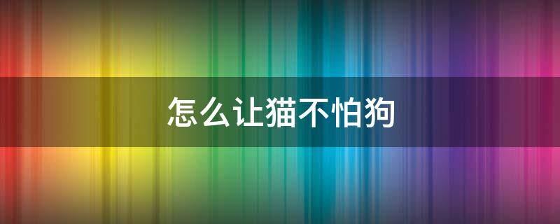 怎么让猫不怕狗 怎样才不怕猫