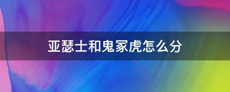 亚瑟士和鬼冢虎怎么分 亚瑟士和鬼冢虎怎么分 图标