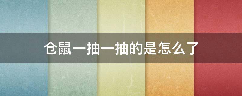 仓鼠一抽一抽的是怎么了 仓鼠一抽一抽的怎么回事