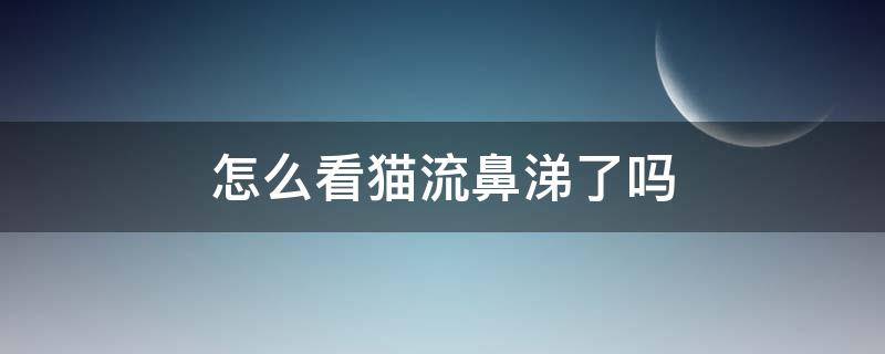 怎么看猫流鼻涕了吗（怎样看猫有没有鼻涕）