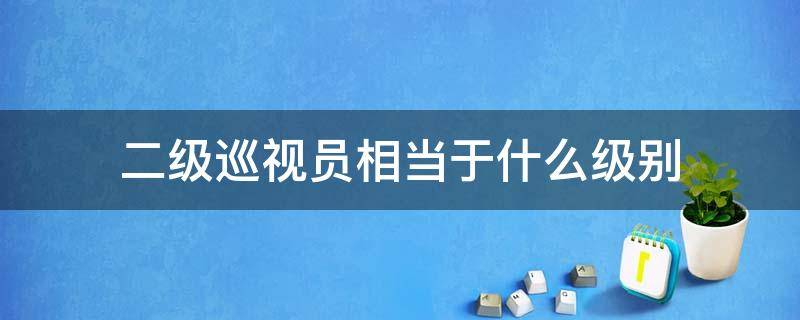 二级巡视员相当于什么级别（二级巡视员相当于什么级别干部）