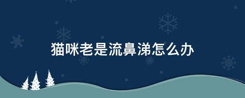 猫咪老是流鼻涕怎么办 猫咪老是流鼻涕是怎么回事