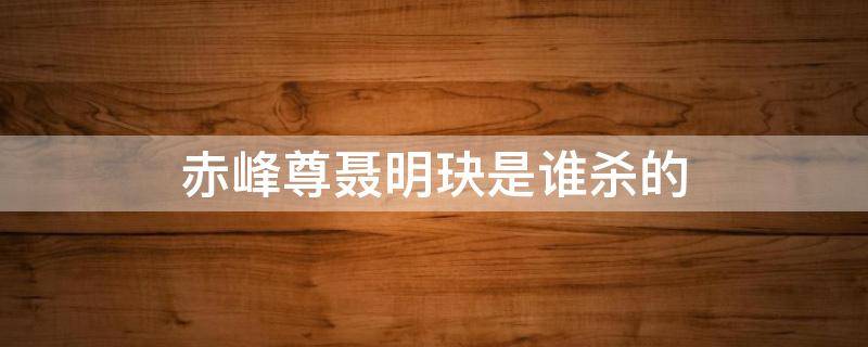 赤峰尊聂明玦是谁杀的 赤峰尊和聂怀桑啥关系