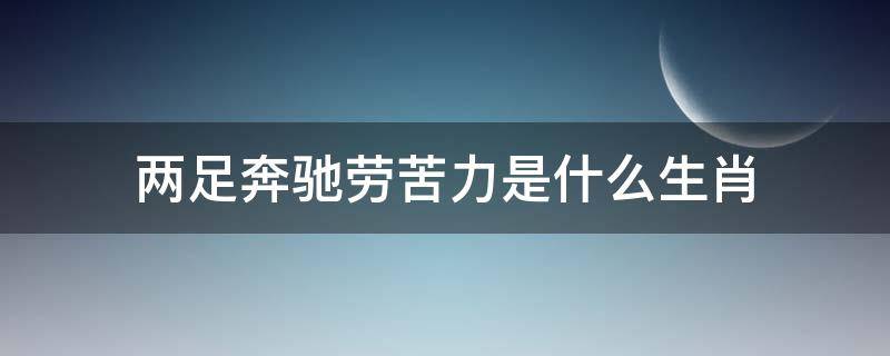 两足奔驰劳苦力是什么生肖 两足奔驰劳苦力是什么生肖作业帮