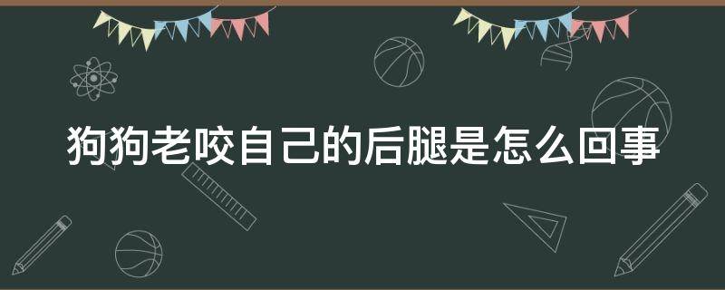 狗狗老咬自己的后腿是怎么回事 狗狗老咬自己的后腿是怎么回事呢